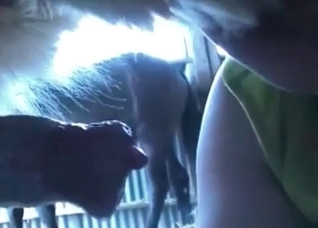 Hot milf enjoys filthy bestial sex