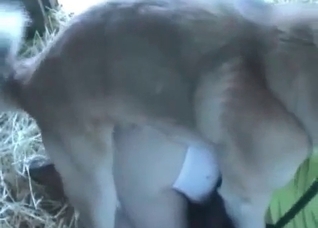 Hot milf enjoys filthy bestial sex