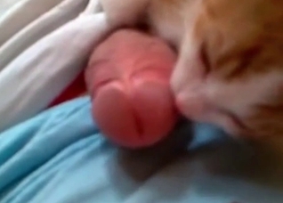 Pretty hot action with a nice zoophile