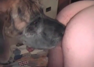 Big dog fucks her snatch so fast