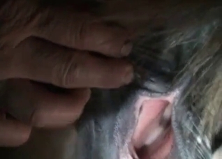 Crazy bestial action in close-up