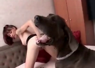 Doberman enjoys nasty action