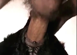 Brunette and her horny puppy