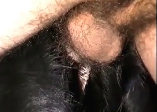 Brunette and her horny puppy