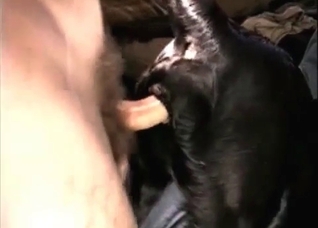 Brunette and her horny puppy