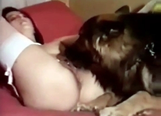 Hairy doggy and a zoophile