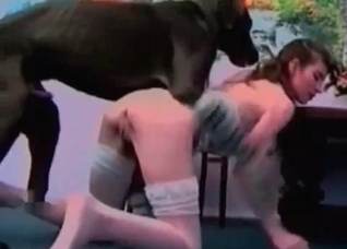 Filthy doberman is banging her twat