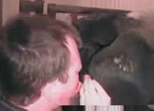 Filthy horse enjoys bestiality