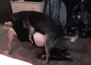 Juicy girl is sucking a doggy dick