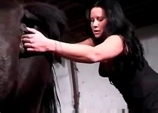 Awesome horse enjoys filthy zoo action