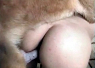 Big doggy is having a hot pussy