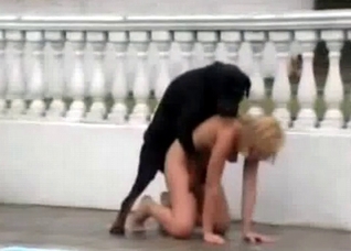 Crazy outdoor bestial action