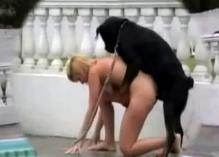 Crazy outdoor bestial action