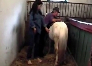 Brunette strokes a horse wiener