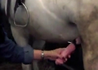 Brunette strokes a horse wiener