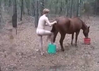 Mare is being pounded in the asshole