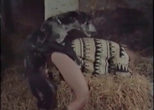 Dirty farm sex action with a dog