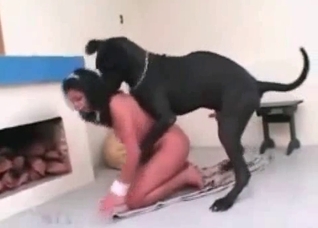Big black hound enjoys her snatch