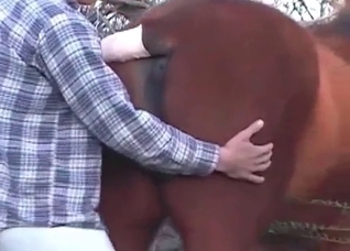 Amazing horse sex at the farm