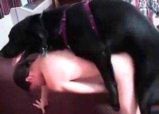 Big black dog is banging a nice zoophile
