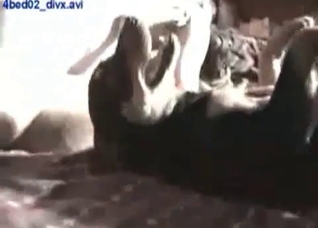 Hot zoo sex in the missionary pose