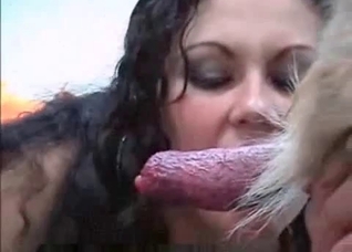 Two girls are sucking a doggy dick
