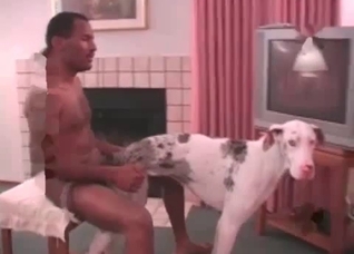 Juicy anal sex with a nice doggy
