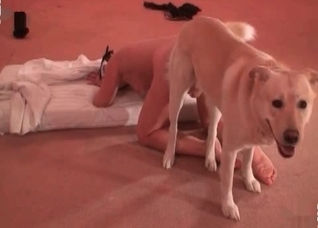 She is enjoying dick of a dog so much