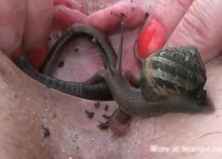 Dirty insects in her small twat