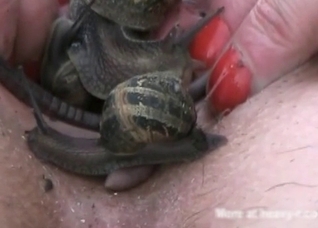 Dirty insects in her small twat