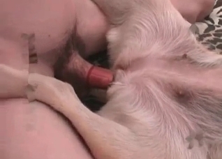 Amazing animal sex action with a zoo slut