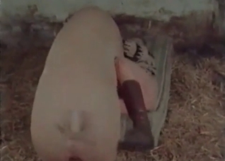 Pig is fucking with a nice woman