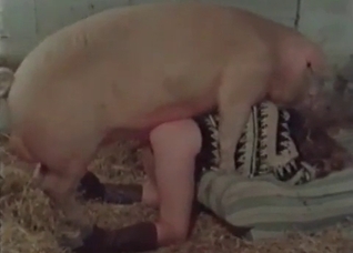 Pig is fucking with a nice woman