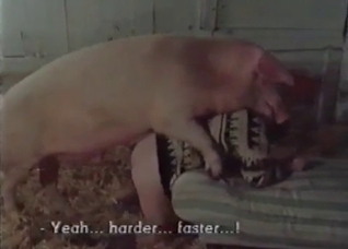 Pig is fucking with a nice woman