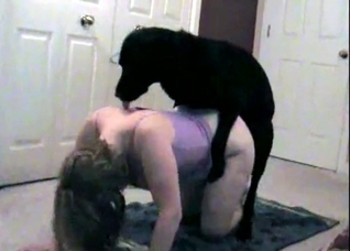 Hor black retriever fucks a zoophile girl