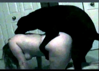 Hor black retriever fucks a zoophile girl