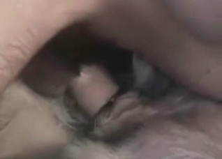 Dirty Shepherd is being fucked and licked