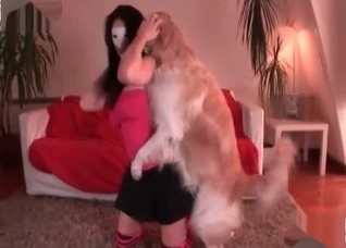 Retriever want to fuck so freaking much