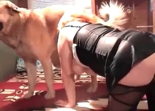 Amazing doggy is banging a nice slut
