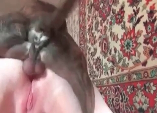 Brutal dog impales her tight vagina