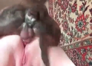 Brutal dog impales her tight vagina