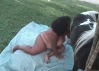 Curvy slut enjoys stallion sex