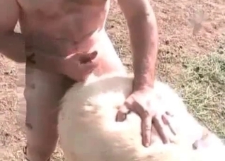 White pony is being fucked from behind