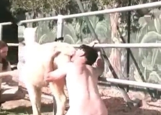 White pony is being fucked from behind