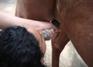 Two tanned girls are sucking a wiener