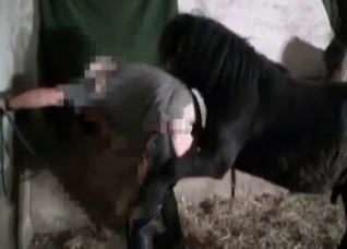 Brutal sex with a sensual pony