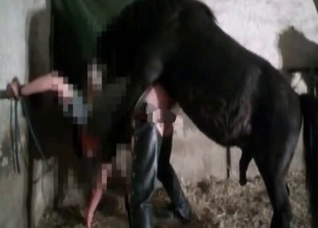 Brutal sex with a sensual pony