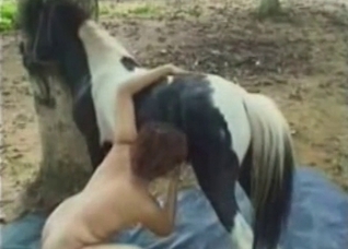 Bestial masturbation in the old barn