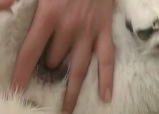 White dog enjoys anal action