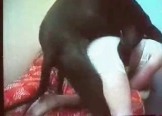 Amateur bestial action with a milf